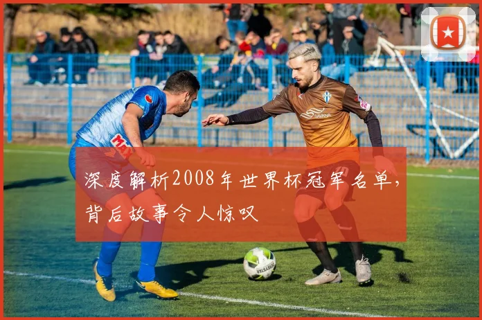 深度解析2008年世界杯冠军名单，背后故事令人惊叹